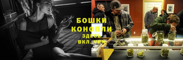 мет Козловка