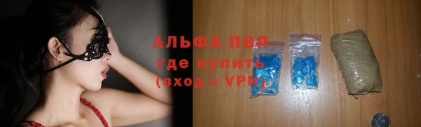 стаф Козельск