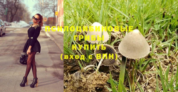 мет Козловка