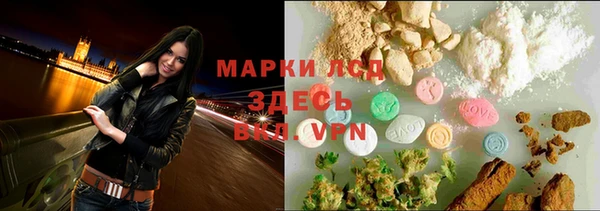 стаф Козельск