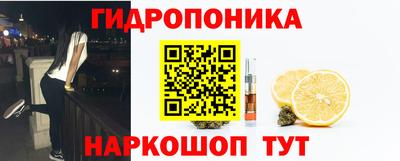 винт Можга