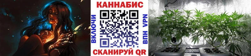 Шишки марихуана Amnesia купить закладку Красноперекопск